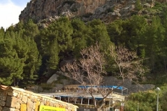 Mallorca 2019 (30) Mallorca 2019 (30)