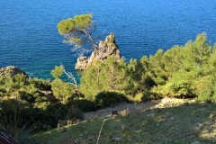 Mallorca 2019 (48)
