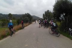 Mallorca 2019 (7)