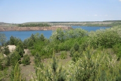 k-IMG_6547