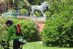 k-IMG_6626
