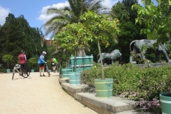 k-IMG_6632