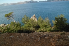 Mallorca-2020-14