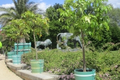 k-IMG_6631